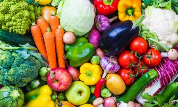 The power of gut bacteria